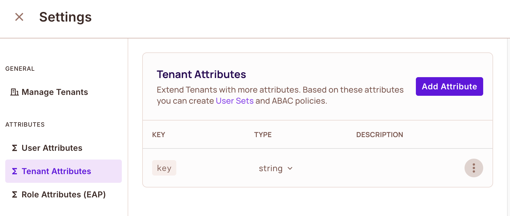 Tenant Key Attribute